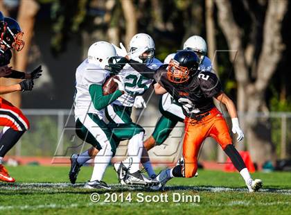 Thumbnail 2 in JV: Palo Alto @ Los Gatos photogallery.