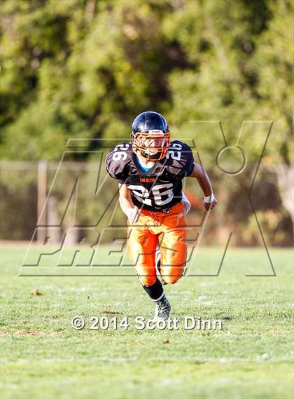 Thumbnail 2 in JV: Palo Alto @ Los Gatos photogallery.