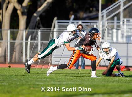 Thumbnail 2 in JV: Palo Alto @ Los Gatos photogallery.
