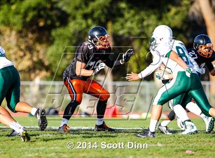 Thumbnail 2 in JV: Palo Alto @ Los Gatos photogallery.