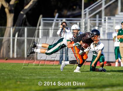 Thumbnail 3 in JV: Palo Alto @ Los Gatos photogallery.