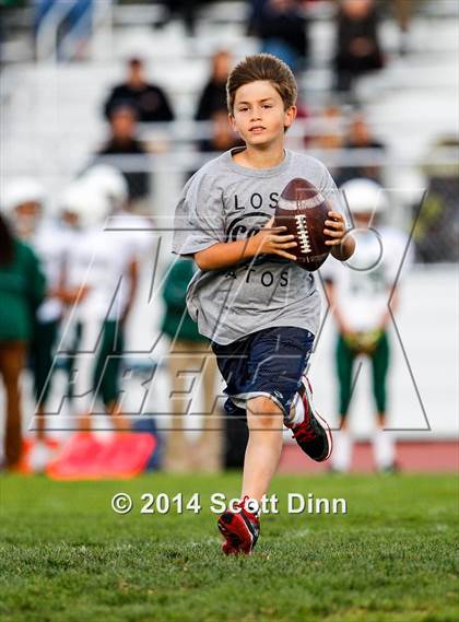 Thumbnail 2 in JV: Palo Alto @ Los Gatos photogallery.