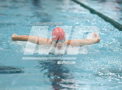Thumbnail 2 in Campbell Meet (Girls) photogallery.