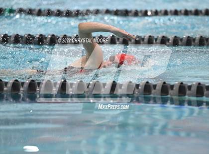 Thumbnail 3 in Campbell Meet (Girls) photogallery.