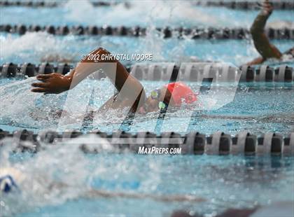 Thumbnail 3 in Campbell Meet (Girls) photogallery.