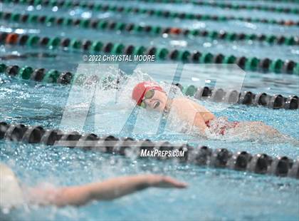 Thumbnail 2 in Campbell Meet (Girls) photogallery.