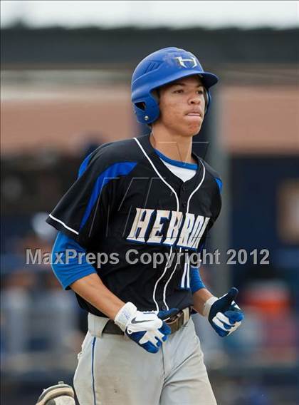 Thumbnail 2 in Rider @ Hebron photogallery.