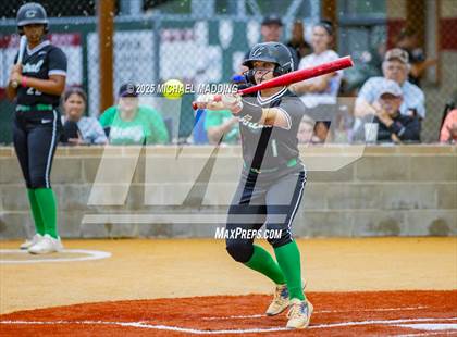 Thumbnail 1 in Orangefield vs Pollok Central (UIL Softball 3A D1 Bi-District Playoff Game 1) photogallery.
