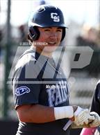 Photo from the gallery "Cactus Shadows @ Millennium"