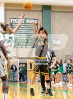 Photo from the gallery "Clark vs. Rancho (NIAA 4A Semifinal)"