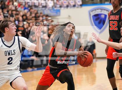 Thumbnail 1 in Olathe West vs. Shawnee Mission Northwest (KSHSAA 6A Sub-State) photogallery.