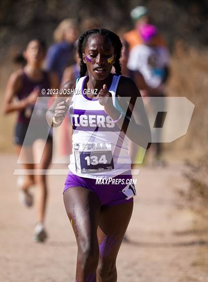 Thumbnail 2 in CHSAA 3A Cross Country Final photogallery.