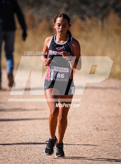 Thumbnail 1 in CHSAA 3A Cross Country Final photogallery.