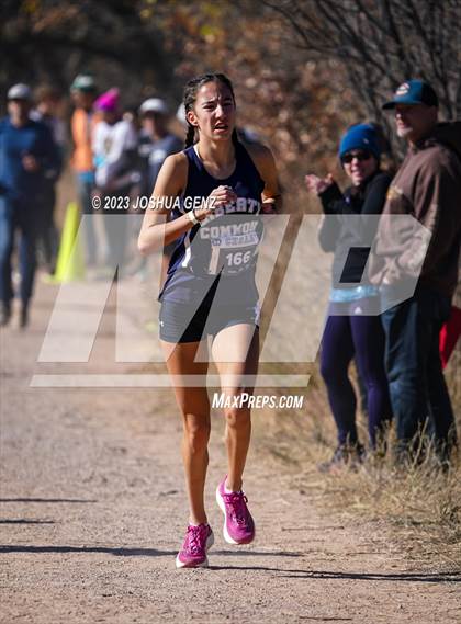 Thumbnail 3 in CHSAA 3A Cross Country Final photogallery.