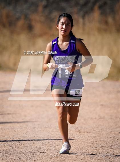 Thumbnail 3 in CHSAA 3A Cross Country Final photogallery.