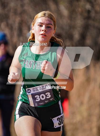 Thumbnail 1 in CHSAA 3A Cross Country Final photogallery.