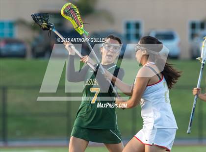Thumbnail 3 in Edison @ Segerstrom photogallery.