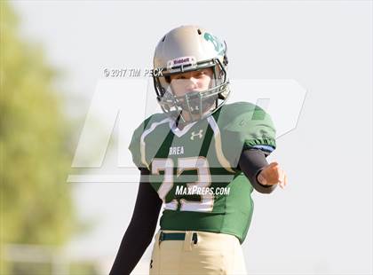Thumbnail 2 in JV: Villa Park @ Brea Olinda photogallery.