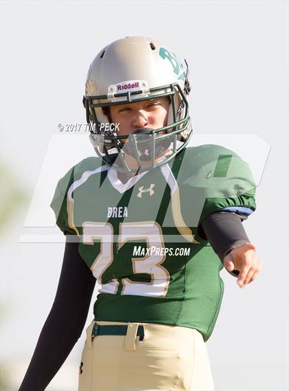 Thumbnail 1 in JV: Villa Park @ Brea Olinda photogallery.