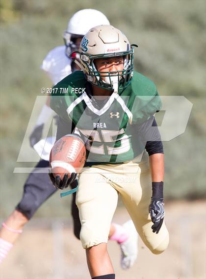 Thumbnail 1 in JV: Villa Park @ Brea Olinda photogallery.