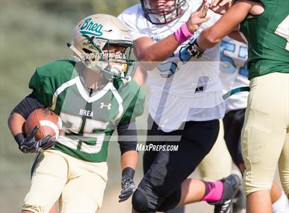 Thumbnail 3 in JV: Villa Park @ Brea Olinda photogallery.
