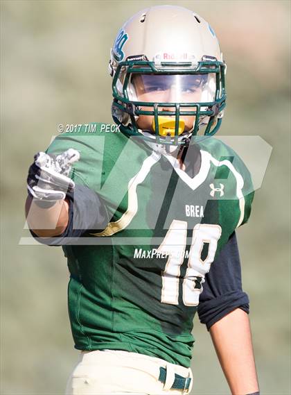 Thumbnail 1 in JV: Villa Park @ Brea Olinda photogallery.