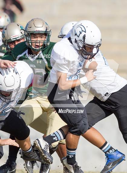 Thumbnail 2 in JV: Villa Park @ Brea Olinda photogallery.