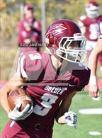 Photo from the gallery "Golden @ Standley Lake"
