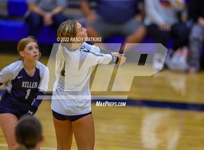 Thumbnail 1 in Birdville @ Keller photogallery.