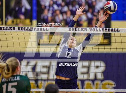 Thumbnail 1 in Birdville @ Keller photogallery.