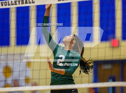 Thumbnail 2 in Birdville @ Keller photogallery.