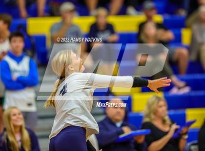 Thumbnail 1 in Birdville @ Keller photogallery.