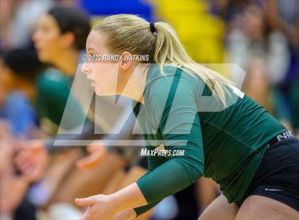 Thumbnail 1 in Birdville @ Keller photogallery.
