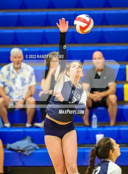 Thumbnail 3 in Birdville @ Keller photogallery.