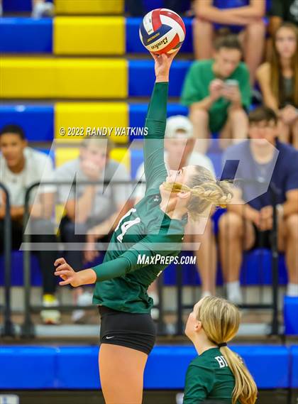 Thumbnail 1 in Birdville @ Keller photogallery.