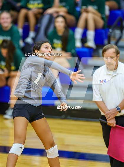 Thumbnail 1 in Birdville @ Keller photogallery.
