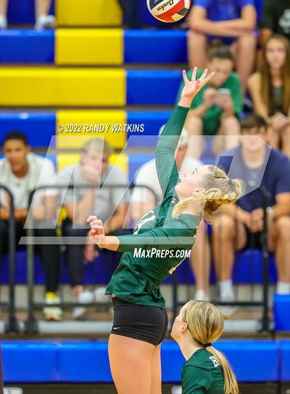 Thumbnail 3 in Birdville @ Keller photogallery.