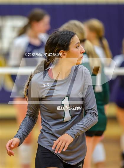Thumbnail 3 in Birdville @ Keller photogallery.