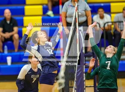 Thumbnail 1 in Birdville @ Keller photogallery.