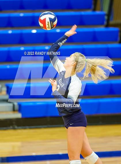 Thumbnail 3 in Birdville @ Keller photogallery.