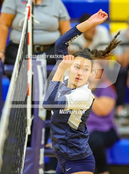Thumbnail 1 in Birdville @ Keller photogallery.