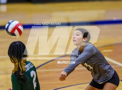 Thumbnail 1 in Birdville @ Keller photogallery.