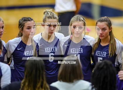 Thumbnail 3 in Birdville @ Keller photogallery.