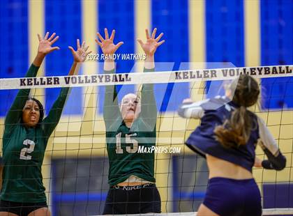 Thumbnail 3 in Birdville @ Keller photogallery.