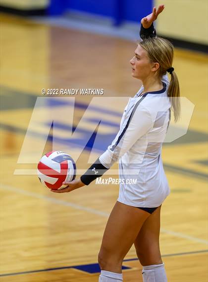 Thumbnail 2 in Birdville @ Keller photogallery.