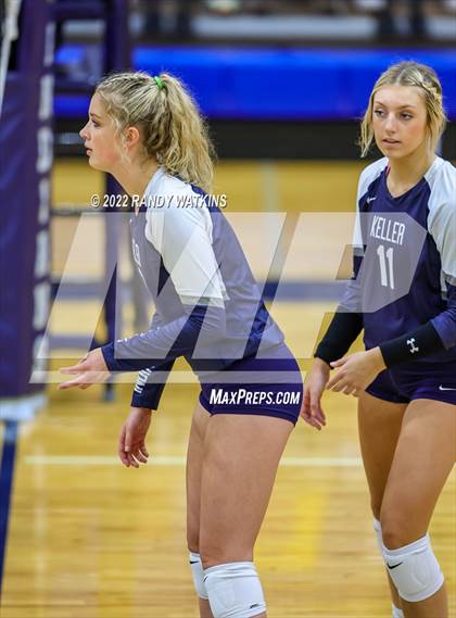 Thumbnail 3 in Birdville @ Keller photogallery.