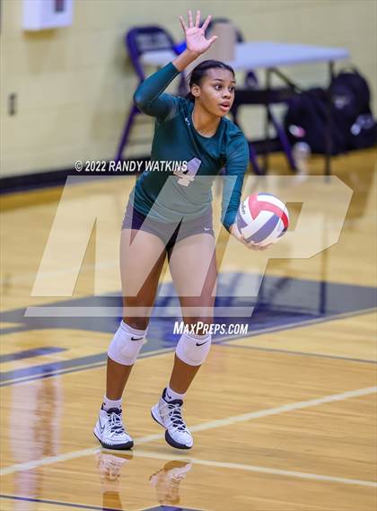 Thumbnail 2 in Birdville @ Keller photogallery.