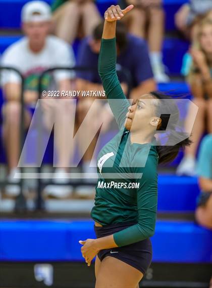 Thumbnail 1 in Birdville @ Keller photogallery.