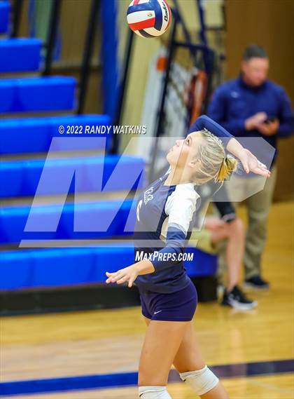 Thumbnail 3 in Birdville @ Keller photogallery.