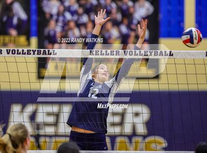 Thumbnail 2 in Birdville @ Keller photogallery.